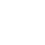 Custom Homes of Virginia Logo